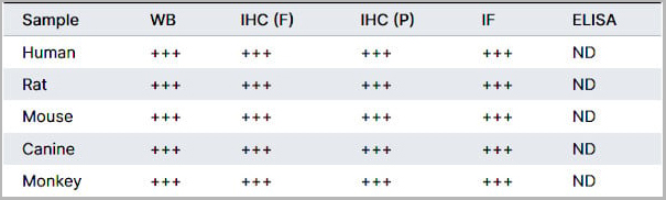 product-image-AAA13873_REACTIVITY.jpg
