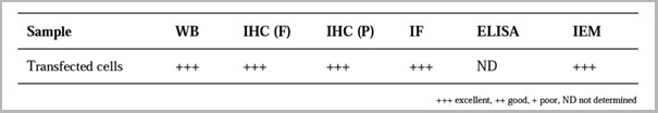product-image-AAA13878_REACTIVITY.jpg