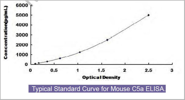 product-image-AAA13949_SC.jpg