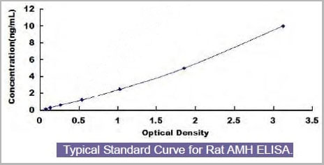 product-image-AAA13952_SC.jpg