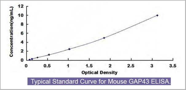 product-image-AAA13962_SC.jpg