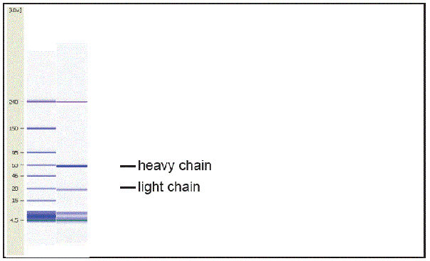 product-image-AAA14097_APP2.gif