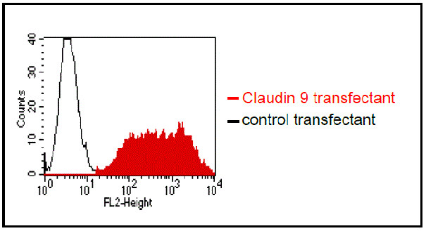 product-image-AAA14098_FCM.gif
