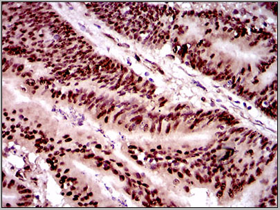 product-image-AAA14132_IHC7.jpg