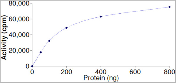 product-image-AAA14263_ACTIVITY.jpg