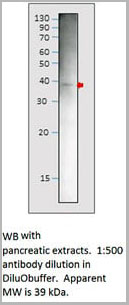 product-image-AAA14408_WB.jpg