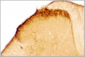 product-image-AAA14443_APP.jpg