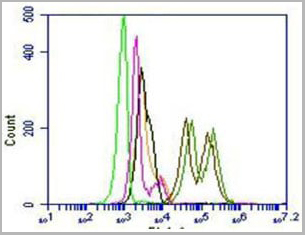 product-image-AAA14609_FCM.jpg