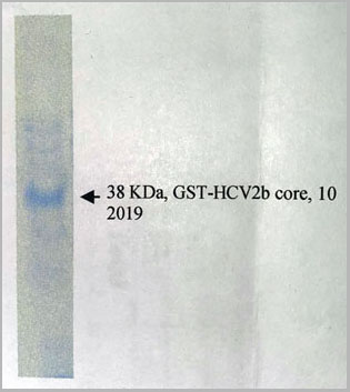 product-image-AAA14635_APP.jpg