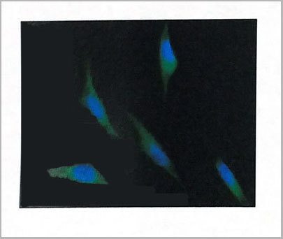 product-image-AAA14697_IF2.jpg