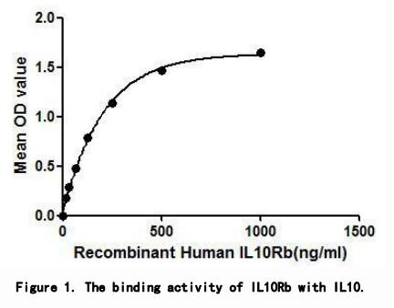 product-image-AAA148125_BIOACTIVITY13.jpg
