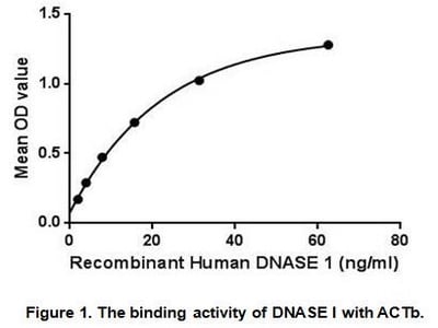 product-image-AAA148188_BIOACTIVITY13.jpg