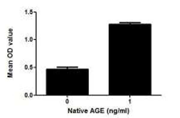product-image-AAA148250_BIOACTIVITY13.jpg