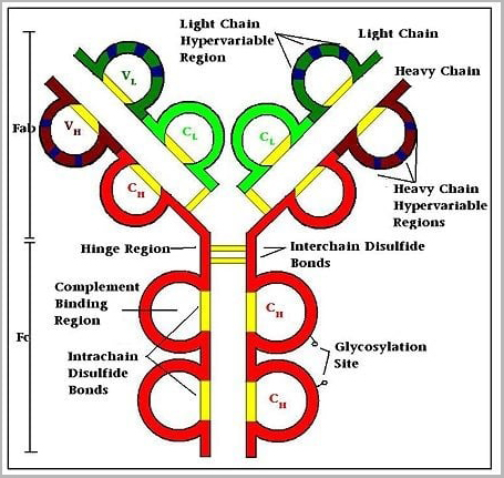 product-image-AAA14850_STRUCTURE.jpg
