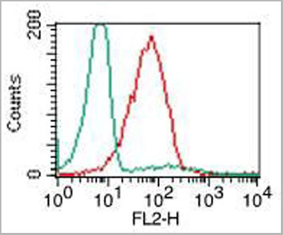 product-image-AAA14863_FCM2.jpg
