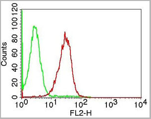 product-image-AAA14867_FCM8.jpg