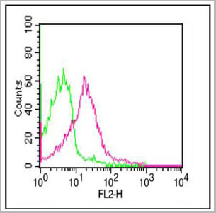 product-image-AAA14873_FCM.jpg