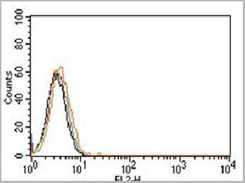 product-image-AAA14878_FCM.jpg