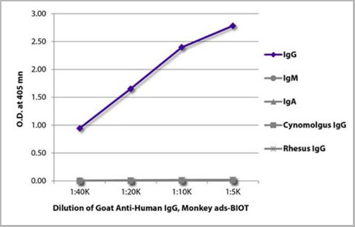 product-image-AAA14911_ELISA.jpg