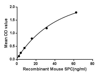 product-image-AAA149247_BIOACTIVITY13.jpg