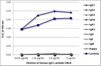 product-image-AAA14924_ELISA.jpg