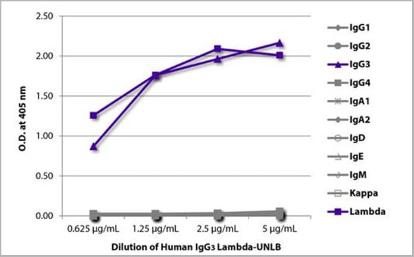 product-image-AAA14926_ELISA.jpg