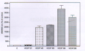 product-image-AAA14949_ELISA2.jpg