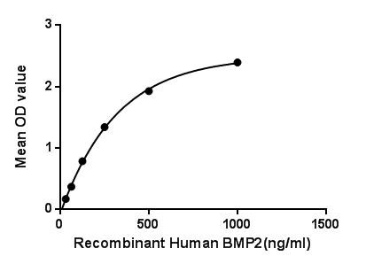 product-image-AAA150048_BIOACTIVITY11.png