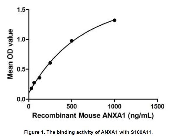 product-image-AAA150137_BIOACTIVITY13.jpg
