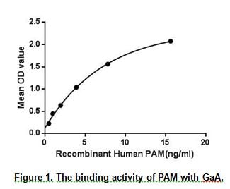 product-image-AAA150334_BIOACTIVITY11.jpg