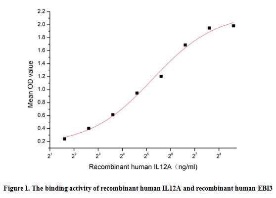 product-image-AAA152962_BIOACTIVITY13.jpg