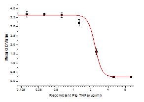 product-image-AAA152991_BIOACTIVITY11.jpg