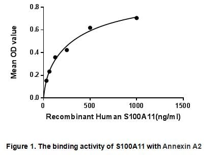product-image-AAA153049_BIOACTIVITY13.jpg