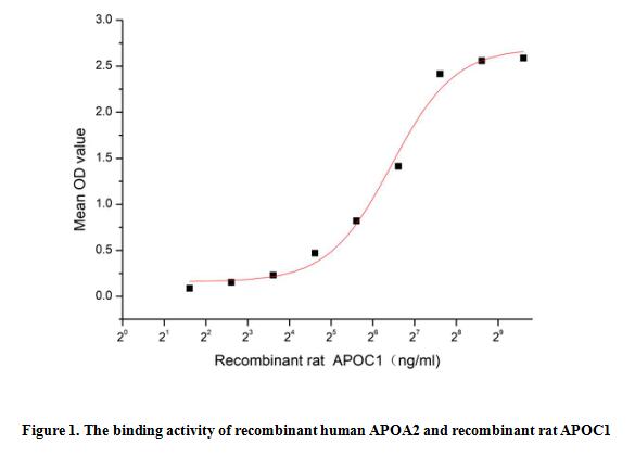 product-image-AAA153050_BIOACTIVITY13.jpg
