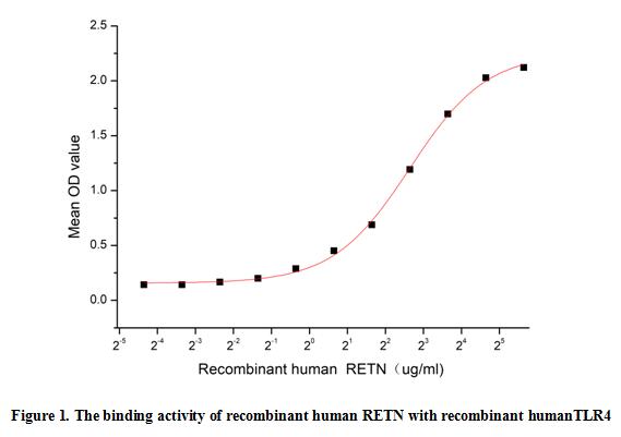 product-image-AAA153056_BIOACTIVITY13.jpg