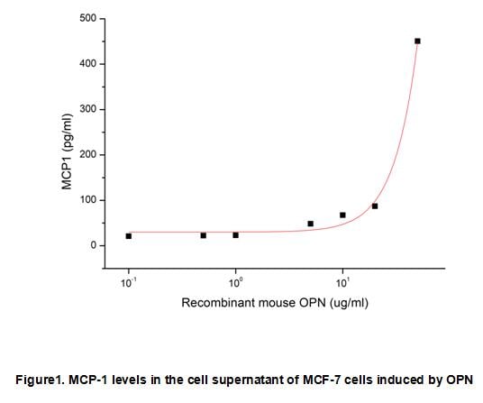 product-image-AAA153066_BIOACTIVITY13.jpg