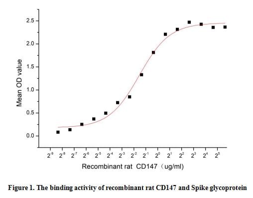 product-image-AAA153101_BIOACTIVITY13.jpg