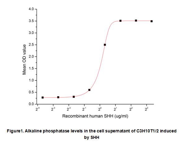 product-image-AAA153105_BIOACTIVITY13.jpg
