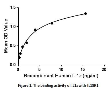 product-image-AAA153127_BIOACTIVITY13.jpg