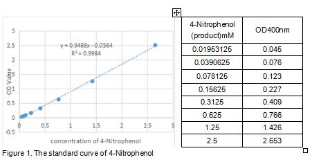 product-image-AAA153134_BIOACTIVITY13.jpg