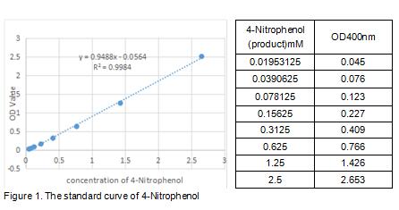 product-image-AAA153135_BIOACTIVITY13.jpg