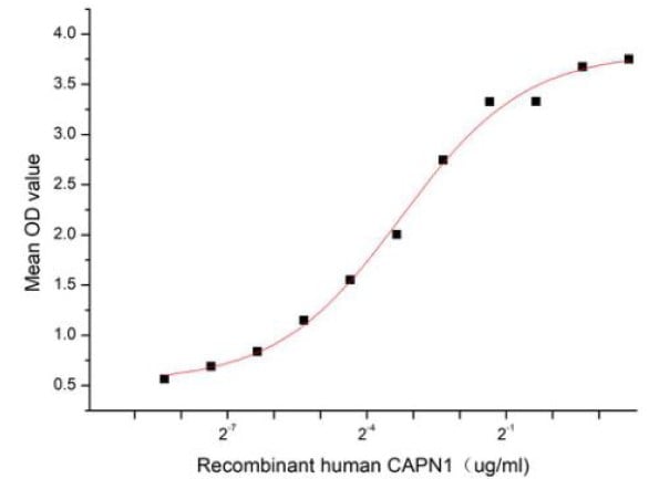 product-image-AAA161456_BIOACTIVITY13.jpg