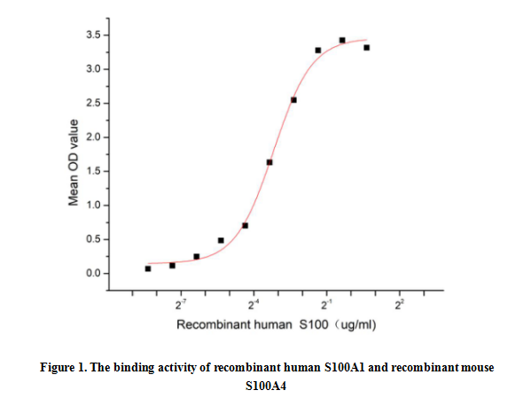 product-image-AAA161650_BIOACTIVITY13.jpg