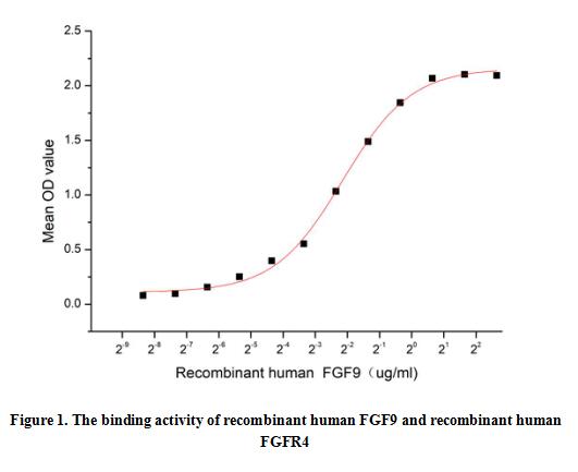product-image-AAA161661_BIOACTIVITY13.jpg