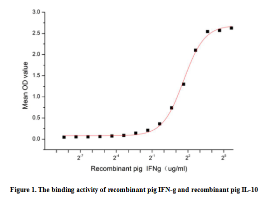 product-image-AAA161669_BIOACTIVITY13.jpg