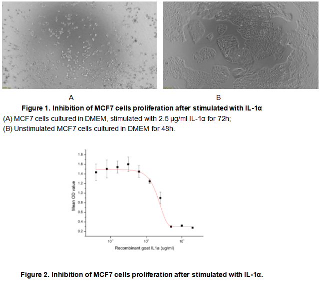 product-image-AAA161676_BIOACTIVITY13.jpg