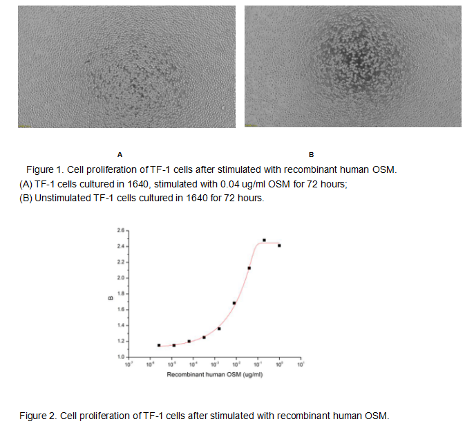 product-image-AAA161689_BIOACTIVITY13.jpg