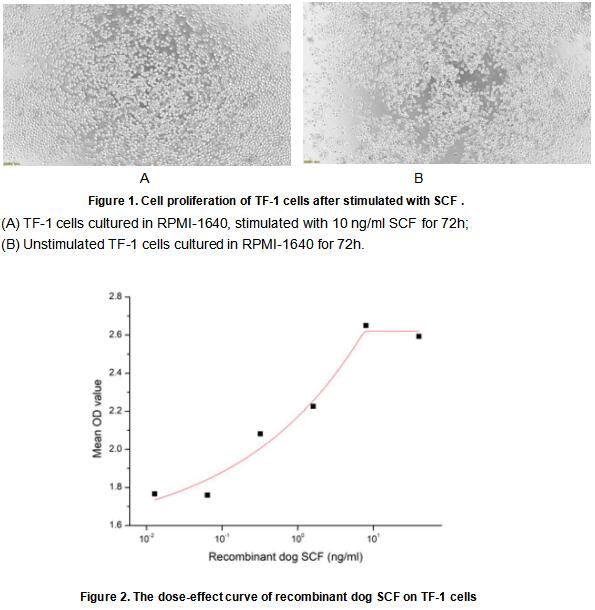 product-image-AAA161692_BIOACTIVITY13.jpg