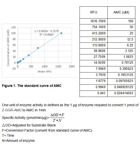 product-image-AAA161705_BIOACTIVITY13.jpg