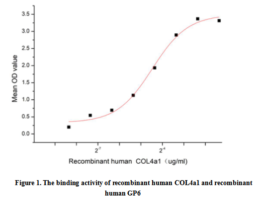 product-image-AAA161709_BIOACTIVITY13.jpg